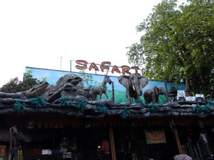 Safari1