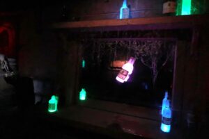 Haunted Castle Santa Cruz Beach Boardwalk 2025 05