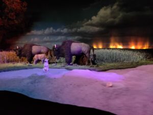 Living with the Land