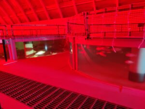 Living with the Land