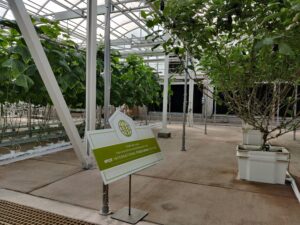 Living with the Land