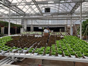 Living with the Land