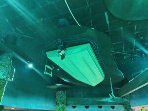 Seas with Nemo & Friends