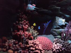 Seas with Nemo & Friends