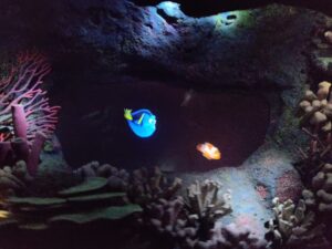 Seas with Nemo & Friends