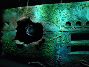 Seas with Nemo & Friends