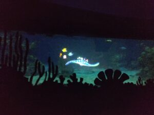 Seas with Nemo & Friends