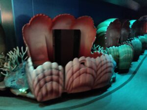 Seas with Nemo & Friends