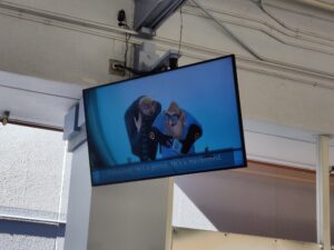 Despicable Me Minion Mayhem