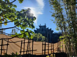 Skull Island: Reign of Kong