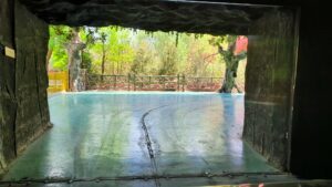 53731055731 ace6c3bb17 k