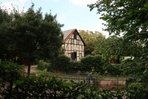 Bluhendes Barock Herzogschaukel 2024 1