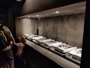 Remy's Ratatouille Adventure