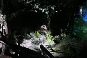 Naturalis Rexperience 2025 12