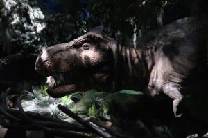 Naturalis Rexperience 2025 13