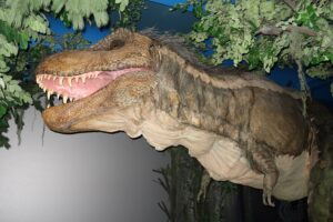 Naturalis Rexperience 2025 14