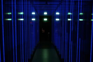 Naturalis Rexperience 2025 15