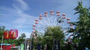 31447182047 935b6a4db4 k