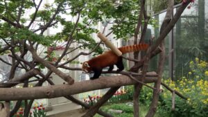 45481658935 922c9e2bbd k