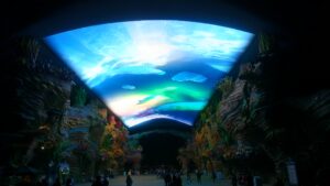 46322328722 a4e29225bc k