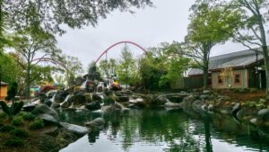 47706248062 be71226782 k