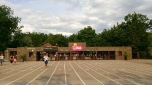 48359117011 9d84baa409 k