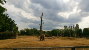 48359267722 288a69e8a7 k