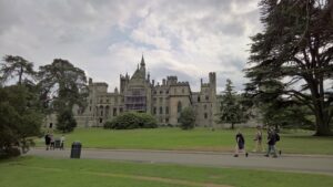 51311541228 b0d415815a k