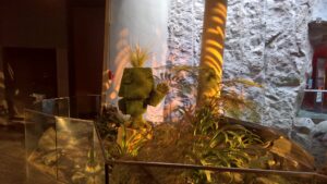 51489217091 b0d464d015 k