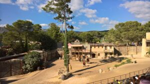 51502856187 cbd38add28 k