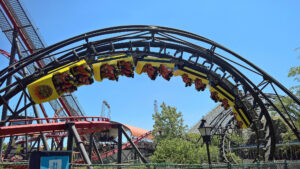 52206179923 c8026ed0f5 k