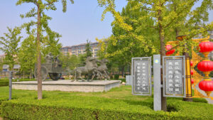 53216139045 177fbdcc57 k