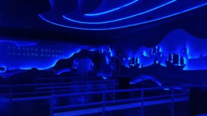 53757082473 80e33b4256 k