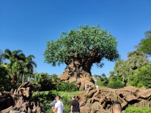 Disney's Animal Kingdom