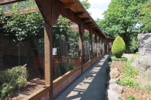 Wild und Freizeitpark Klotten 04