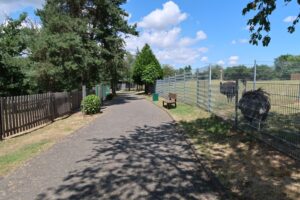 Wild und Freizeitpark Klotten 05