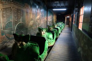 Julianatoren Spookslot Backstage 05