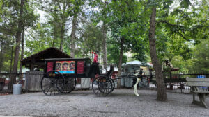 DJI 20000306141834 0135 D